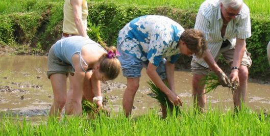 Vietnam adventure tours, Vietnam tours, Indochina Tours
