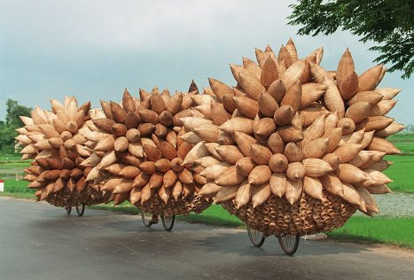 Vietnam Holiday, Vietnam Travel, Vietnam Tours