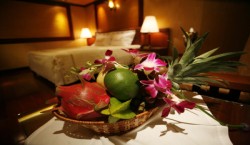 emotion halong cruise