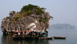 Halogn Bay Life