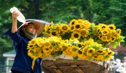 Hanoi City Tour Hanoi City Tour