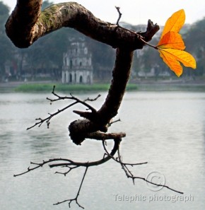 Hanoi tours Hanoi tours