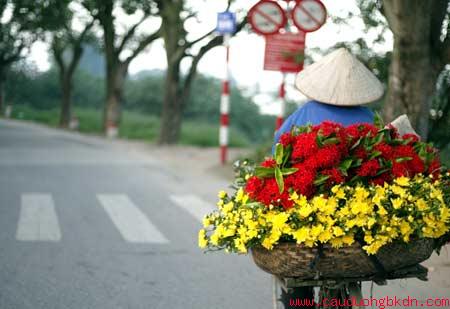 Hanoi Tours