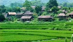 vietnam motorcycle tours