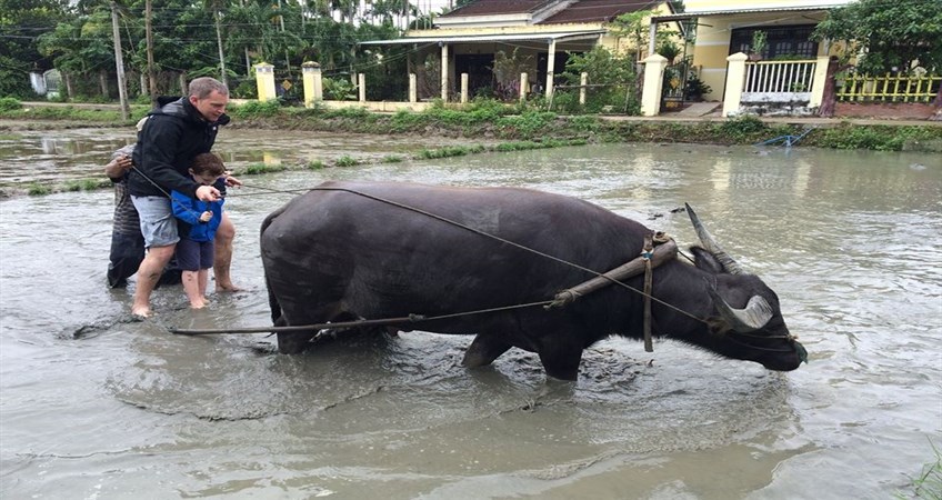 vietnam family tour