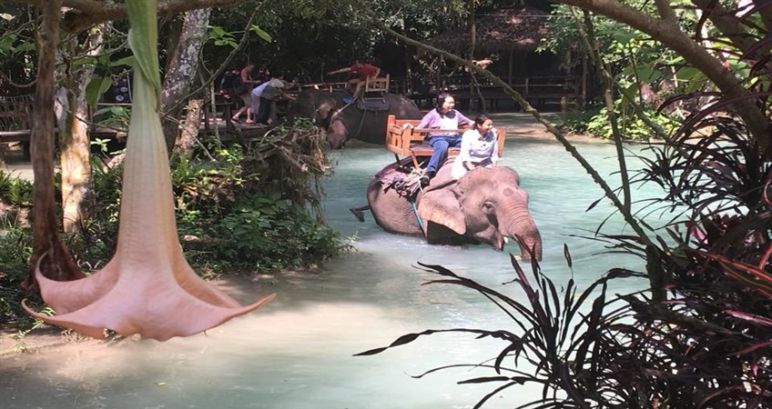 best time to travel in laos