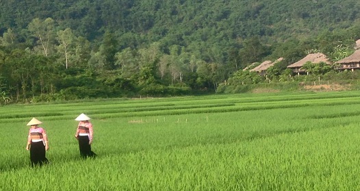 maichau valley vietnam