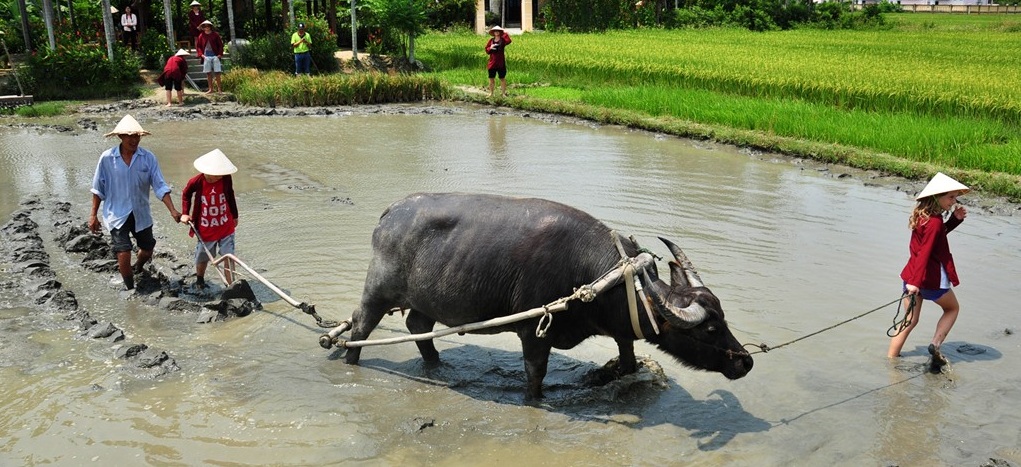 hoian tour vietnam