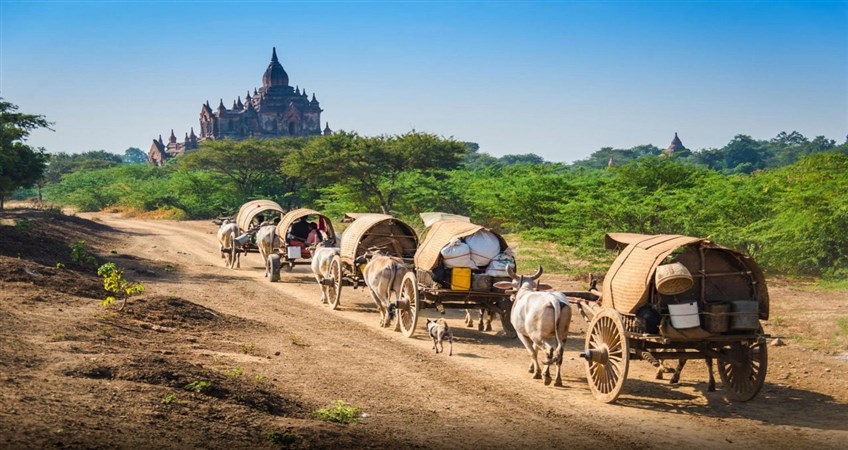 myanmar private tours