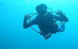 Scuba Diving, Skin Diving and Snorkeling